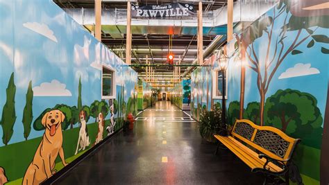 Paws and claws rochester - Website. https://pawsandclaws585.com. Paws and Claws is a 30,000 square foot dog and cat caring facility in Penfield / East Rochester area. They offer luxury up-scale dog boarding (5 x …